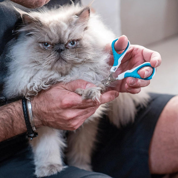 Stainless Steel Durable Pet Nail Clippers