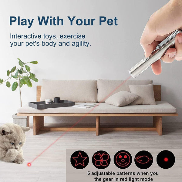Rechargeable Cat Interactive Laser Toy