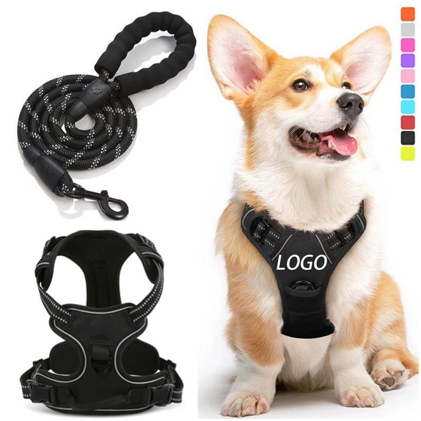 Durable Nylon Dog Harness And Leash Set